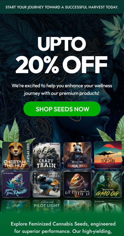 Atlasseed CBD Email campaigns